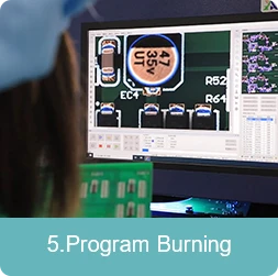ProgramBurning